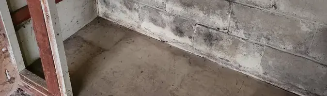 Lower wall opened to dry the cavity after water damage in Dublin, CA