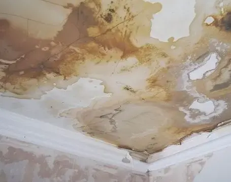 Roof leak water stain spreading across a ceiling in a Dublin, CA home